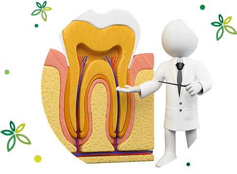 STEP4：歯周病再検査、歯周外科治療